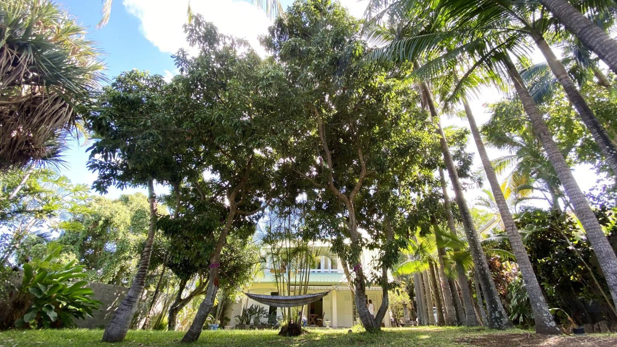 Coliver - Coliving A La Reunion Сен-П'єр Екстер'єр фото
