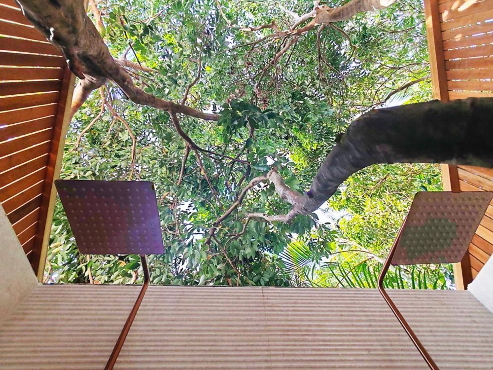 Coliver - Coliving A La Reunion Сен-П'єр Екстер'єр фото