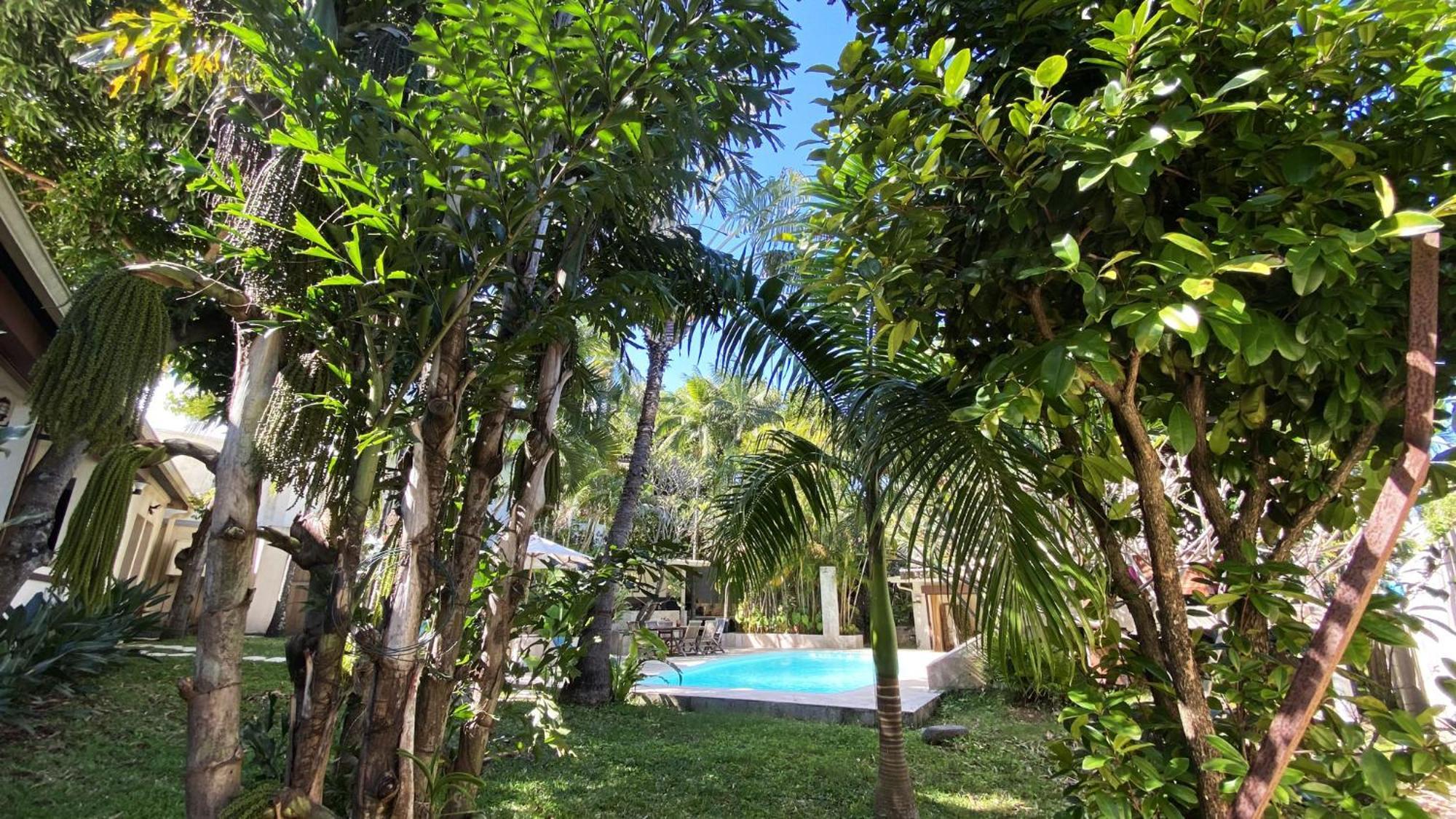 Coliver - Coliving A La Reunion Сен-П'єр Екстер'єр фото