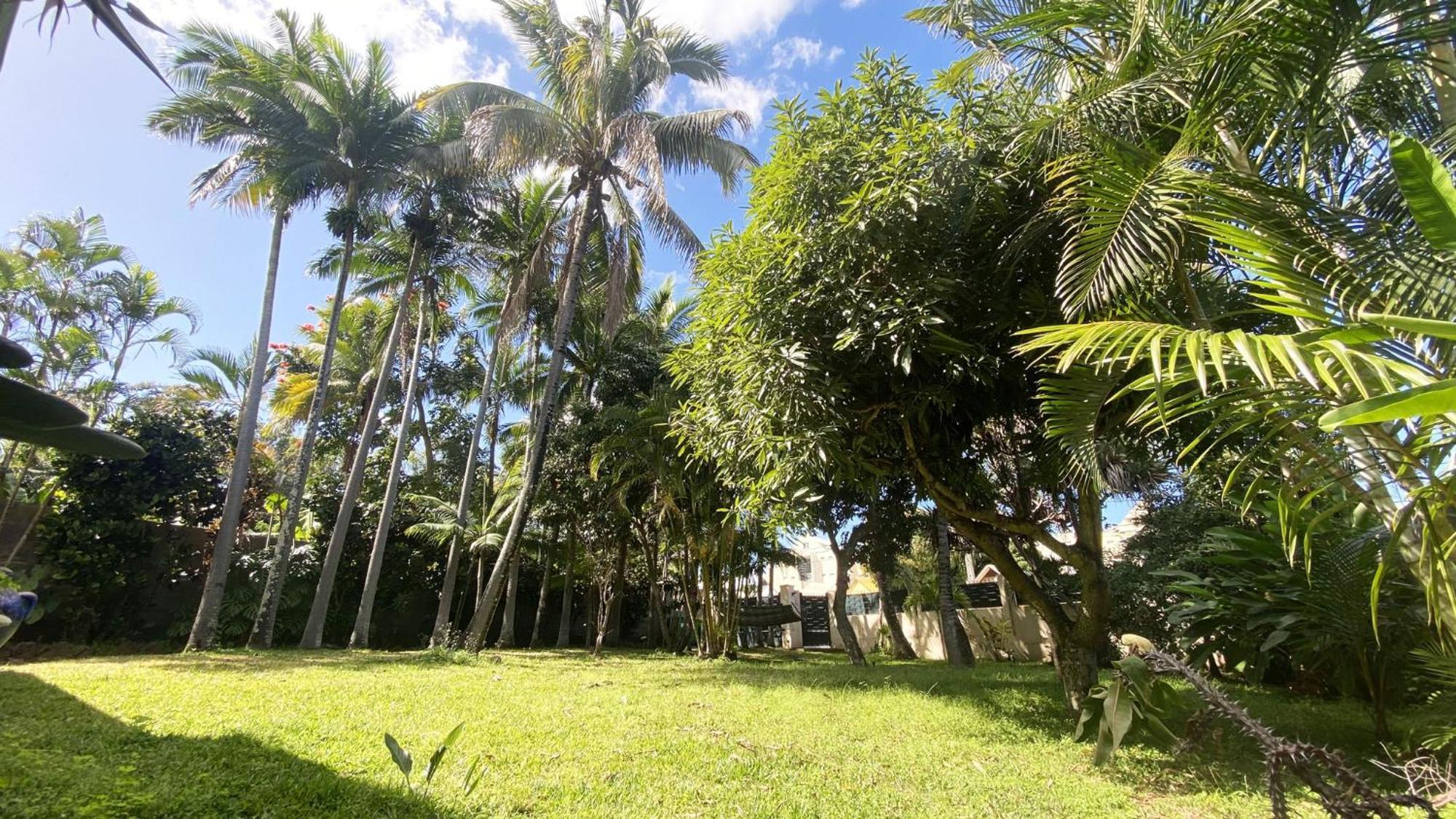 Coliver - Coliving A La Reunion Сен-П'єр Екстер'єр фото