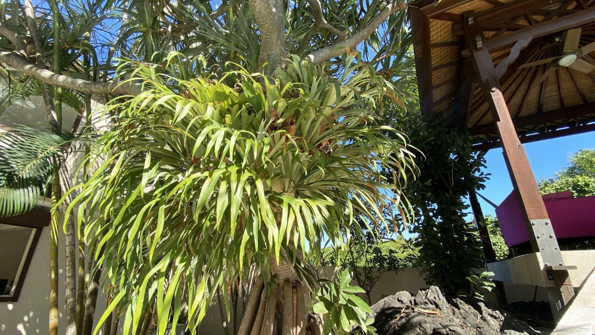 Coliver - Coliving A La Reunion Сен-П'єр Екстер'єр фото