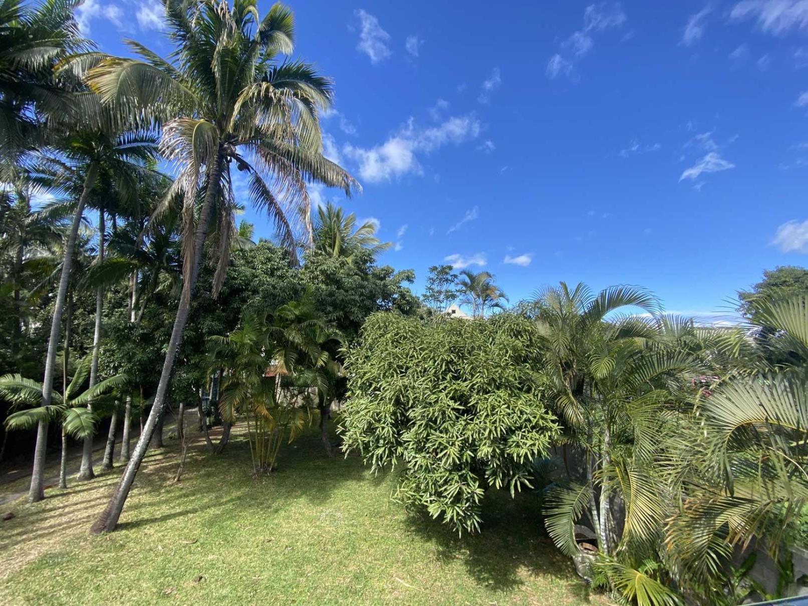 Coliver - Coliving A La Reunion Сен-П'єр Екстер'єр фото