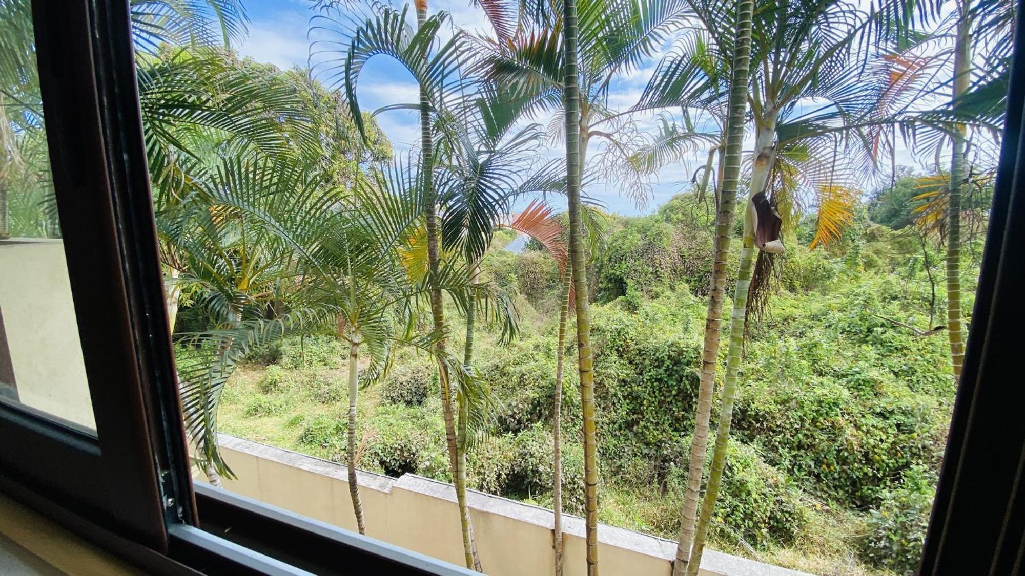 Coliver - Coliving A La Reunion Сен-П'єр Екстер'єр фото